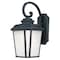 Maxim Lighting Radcliffe LED E26 1-Light 11" Wide Black Oxide Outdoor Wall Sconce 65646WFBO - alternate 1